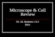 Microscope & Cell Review