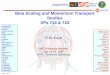 Beta Scaling and Momentum Transport Studies XPs 713 & 723