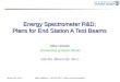 Energy Spectrometer R&D; Plans for End Station A Test Beams