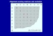 Alignment scoring matrices and evolution