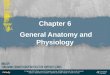 Chapter 6  General Anatomy and Physiology