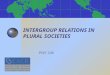 INTERGROUP RELATIONS IN PLURAL SOCIETIES