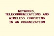 NETWORKS, TELECOMMUNICATIONS AND  WIRELESS COMPUTING  IN AN ORGANIZATION