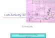 Lab Activity 32