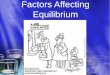 Factors Affecting Equilibrium