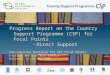 Progress Report on the Country Support Programme (CSP) for Focal Points Direct Support