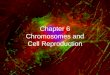 Chapter  6 Chromosomes and Cell Reproduction