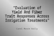 "Evaluation of Yield And Fiber Trait Responses Across  Irrigation Treatments"