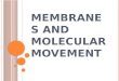 Membranes and Molecular Movement