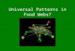 Universal Patterns in Food Webs?