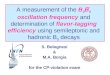 S. Bolognesi & M.A. Borgia for the CP-violation exam
