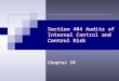 Section 404 Audits of Internal Control and Control Risk