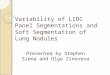 Variability of LIDC Panel Segmentations and Soft Segmentation of Lung Nodules