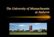 The University of Massachusetts at Amherst