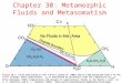 Chapter 30: Metamorphic Fluids and Metasomatism