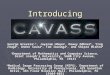 Introducing CAVASS