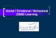 Social / Emotional / Behavioral (SEB) Learning