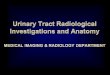 Urinary Tract Radiological Investigations and Anatomy