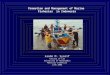 Promotion and Management of Marine  Fisheries  in Indonesia