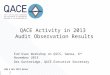 QACE Activity in 2013  Audit Observation Results
