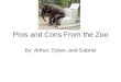 Pros and Cons From the Zoo