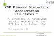 CVD Diamond Dielectric Accelerating Structures  *