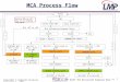 MCA Process Flow