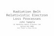 Radiation Belt Relativistic Electron Loss Processes
