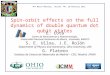 Spin-orbit effects on the full dynamics of double quantum dot qubit states