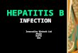 HEPATITIS B INFECTION
