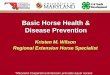 Basic Horse Health & Disease Prevention