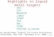 Highlights in liquid metal targets