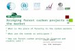 Bringing forest carbon projects to the market