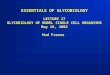 ESSENTIALS OF GLYCOBIOLOGY LECTURE 27 GLYCOBIOLOGY OF MODEL SINGLE CELL ORGANISMS May 16, 2002