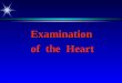 Examination  of  the  Heart