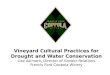 Vineyard Cultural Practices for Drought and Water Conservation