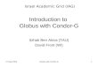 Introduction to  Globus with Condor-G