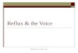 Reflux & the Voice