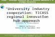 “University Industry cooperation: TICASS regional innovation hub approach”