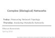 Complex (Biological) Networks
