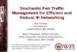 Stochastic Fair Traffic Management for Efficient and Robust IP Networking