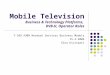 Mobile Television Business & Technology Platforms,  DVB-H, Operator Roles