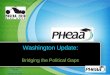 Washington Update: Bridging the Political Gaps