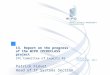 13. Report on the progress of the WIPO IPCRECLASS project IPC Committee of Experts 45