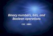 Binary numbers, bits, and Boolean operations