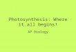 Photosynthesis: Where it all begins!
