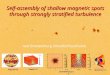 Self-assembly of shallow magnetic spots through strongly stratified turbulence
