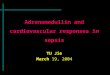 Adrenomedullin and cardiovascular responses in sepsis