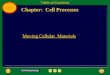 Chapter:  Cell Processes