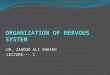 ORGANIZATION OF NERVOUS SYSTEM